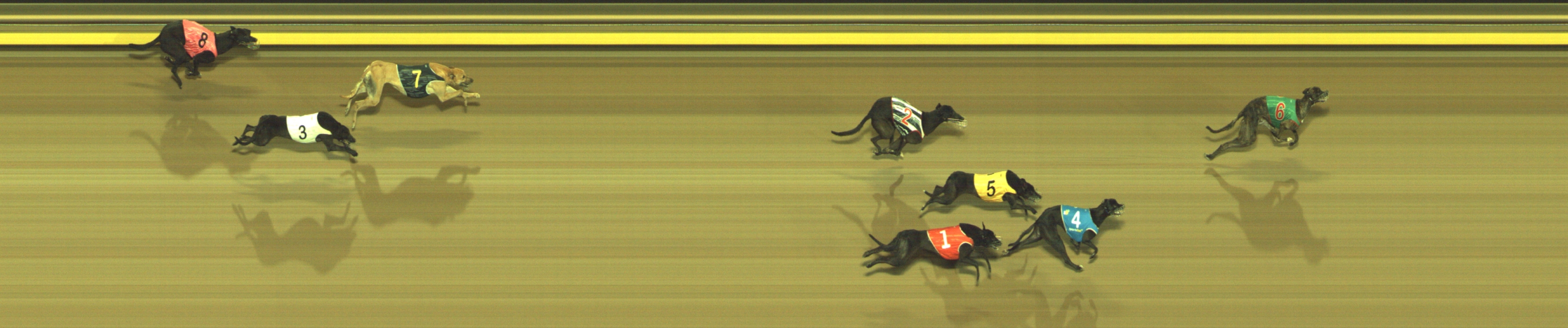 Race result finish photo